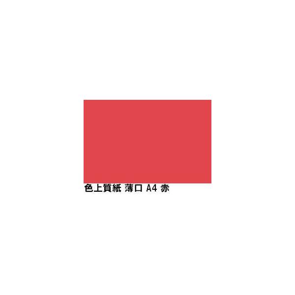 kzR[|[V F㎿ 55kg A4Y  1000