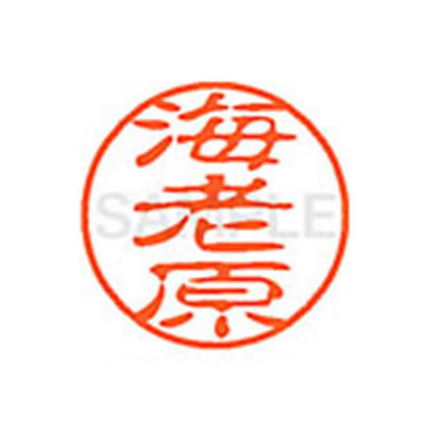 y񂹁zV`n^ XL-11(CV) XL1100447