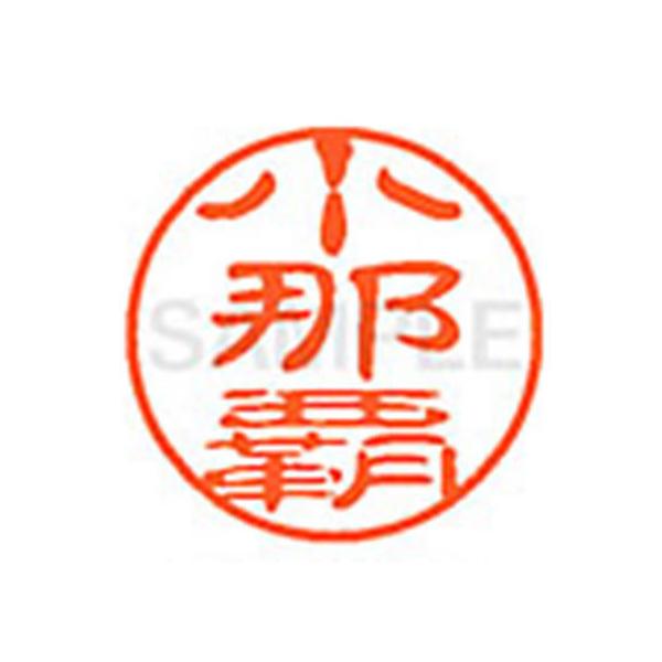 y񂹁zV`n^ XL-11(ߔe) XL1102072