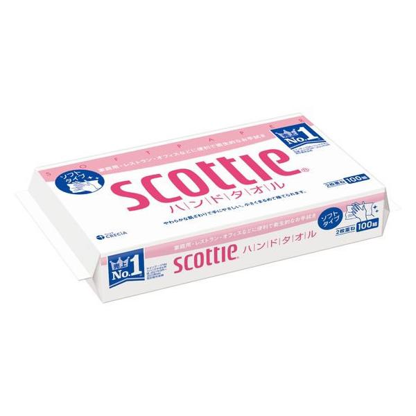 【商品説明】牛乳パックリサイクルパルプ配合で肌にも環境にもやさしい【仕様】●入数：２００枚（２枚重ね×１００組）●シートサイズ：２１８×２３０ｍｍ　<ジェットプライス>