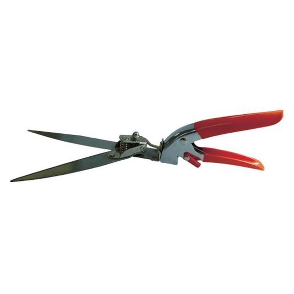 y񂹁zDAISHIN ]ŐXeX 701041