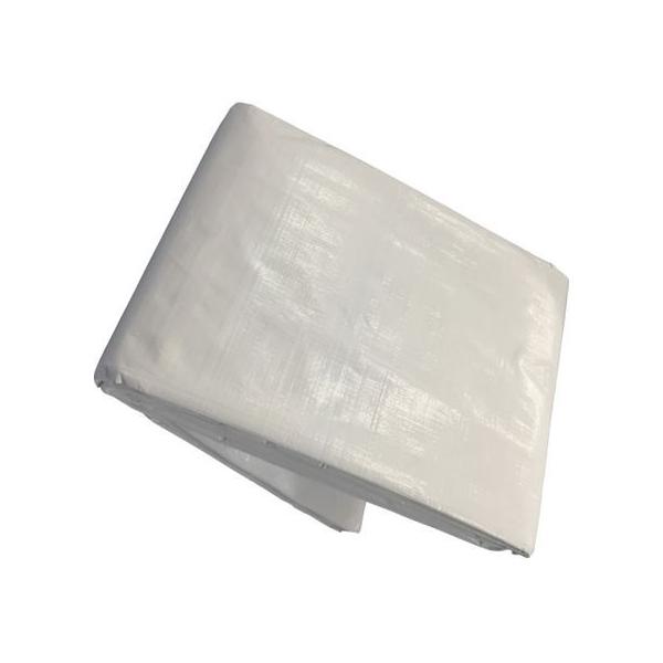 y񂹁z^JCN 3000 zCgV[g 3.6m×5.4m WHS-11 J[V[g  S 