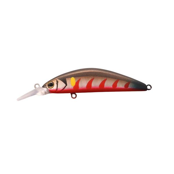 y񂹁zWbJ TM gR[GT56SR-F #S㈼