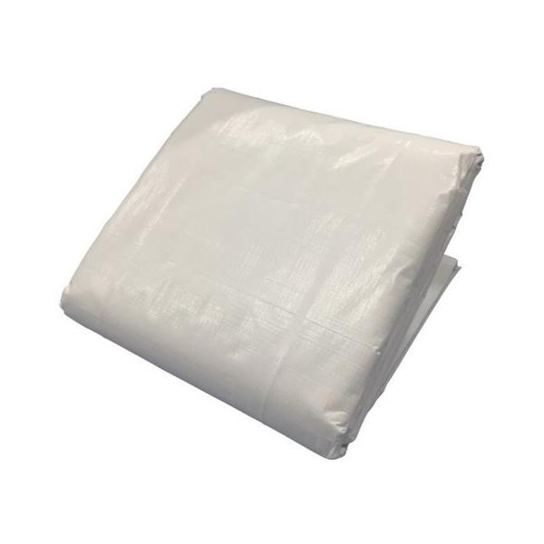 y񂹁z^JCN 3000 zCgV[g 5.4m×5.4m WHS-13 J[V[g  S 