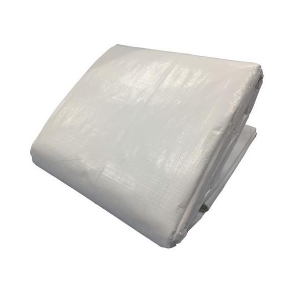 y񂹁z^JCN 3000 zCgV[g 5.4m×7.2m WHS-14 J[V[g  S 