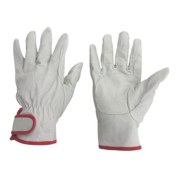 y񂹁z~^j 195u^W[(3o)MTCY 209613 ؊v v  ot Ɨp