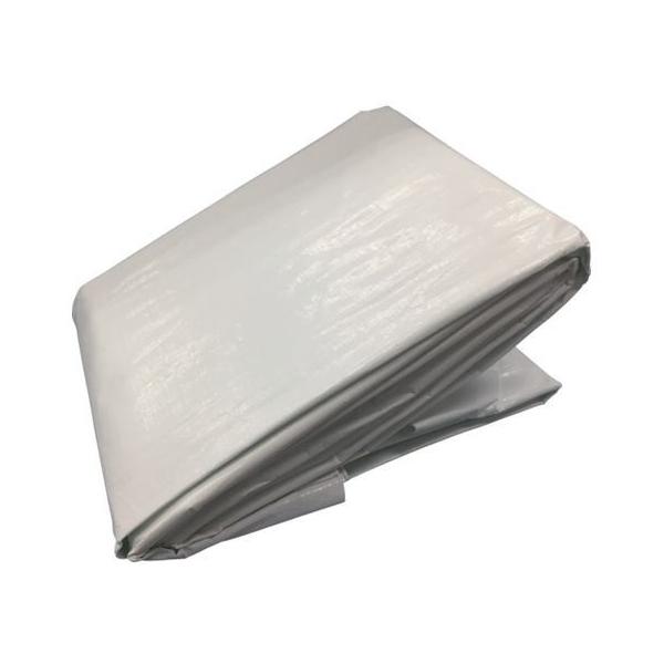 y񂹁z^JCN 3000 zCgV[g 7.2m×9.0m WHS-16 J[V[g  S 