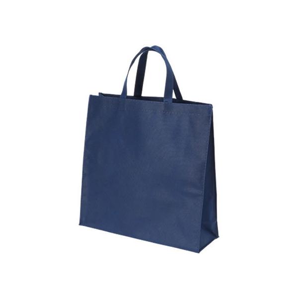 Tibv sDzobO}`t  _[Nu[ 10 FBH-33DB  񂰑 sDz  bsO pi