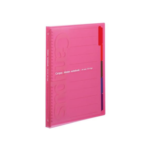 RN LpX XChoC_[ X^Cv A4 30 sN -P173NP