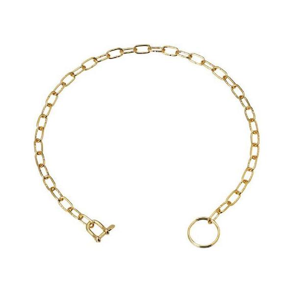 y񂹁z{ XeX |Pbg`F[SP^(S[h) S300mm B-2258