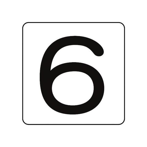 y񂹁zXebJ[ 6 HS-6(5P) 80×80mm 5g A~ TCXebJ[ ē TCv[g tAV[ \ W ono f