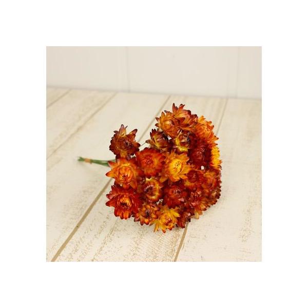 ワイヤー付きヘリクリサム hanadonya_002-35278