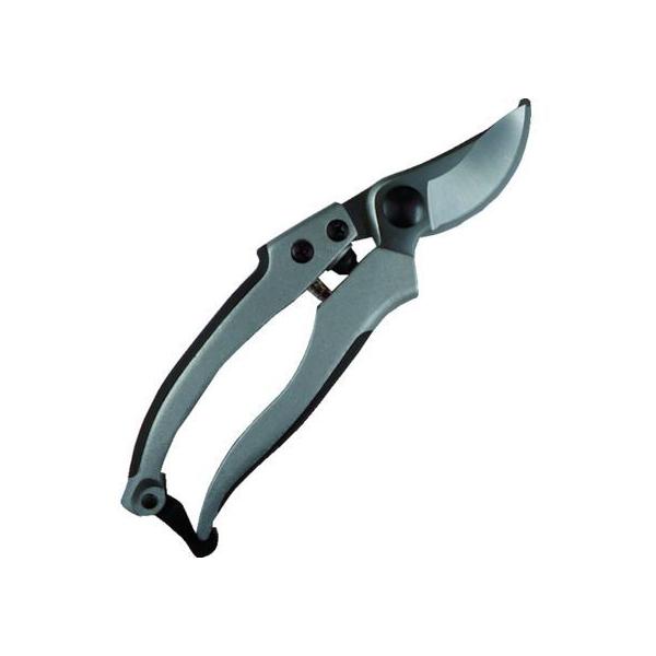 y񂹁zDAISHIN EG A~_CLXgDX 502099 nT~ _ _Ǝ |pi Ɨpi H