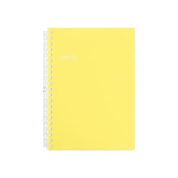 y񂹁zqgu Pastello cCXgm[g B6 21 CG[ N1969-5