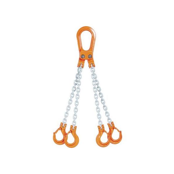 y񂹁zۈ `F[XO100(s^Cv) 4-T-H-6.3 C[ XO ݋ oT[  