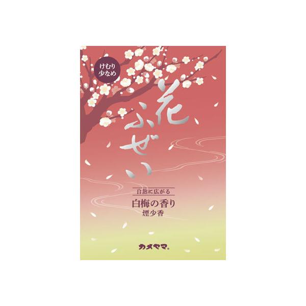 y񂹁zJ} Ԃӂ~  p^ 220g pG