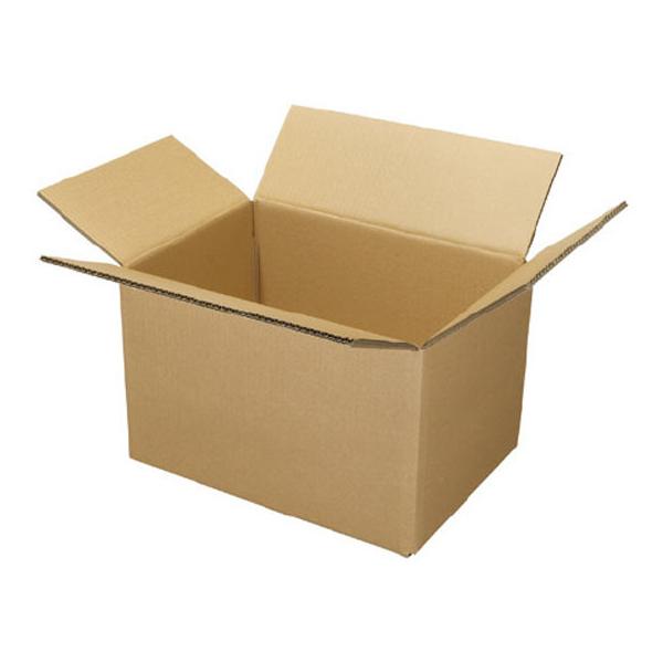 _{[ (455×315×275mm) 10 Wt[g