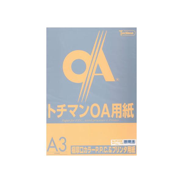 y񂹁zSAKAEeNjJy[p[ ɌJ[PPC A3 XL 50×5