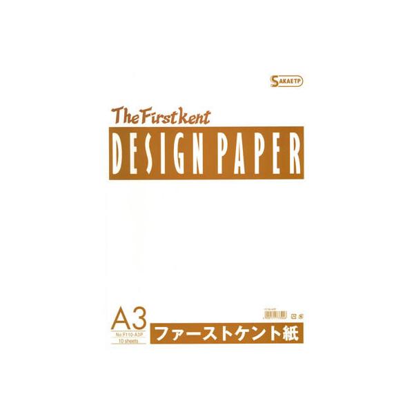 SAKAE TP t@[XgPg A3Ki 186g 10 F110-A3P