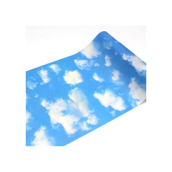 y񂹁zJ mt CASA FLEECE Ɖ_ 230mm×5m MTCAF2340 fR[Vp}XLOe[v CeA fR[VObY