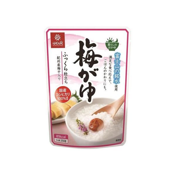 ͂΂ ~ 250G  ]bg CX^g gg Hi