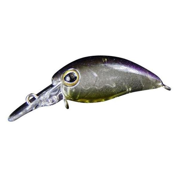 y񂹁zWbJ TM уpjN DR _CS}WO[