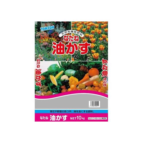 y񂹁zg\R[|[V Ȃ˖ 5-2-1 10kg 엿 ͍ | K[fjO