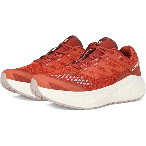 P最大12倍10/2-3限定 (取寄) サロモン レディース エアロ グライド 3 GRVL Salomon women Aero Glide 3 Grvl Burnt Ochre/Vanilla Ice/Etherea