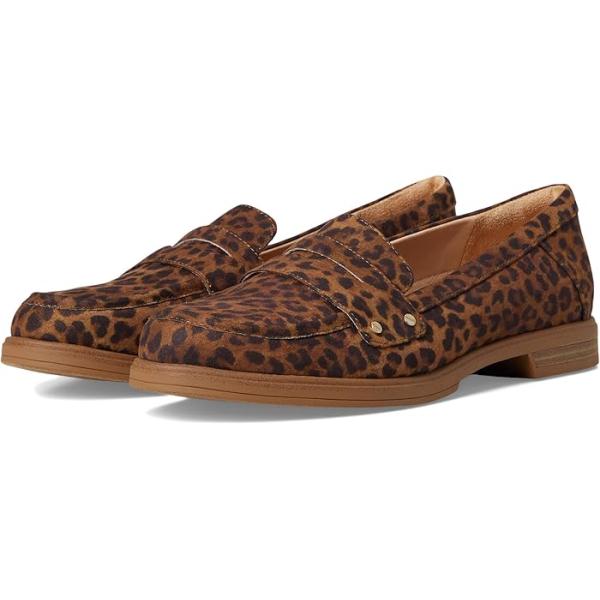 ドクターショール（Dr.Scholl） P最大17倍1/1限定 (取寄) レディース