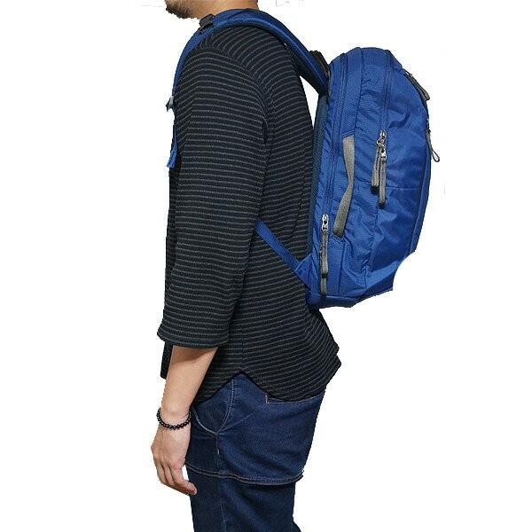 GREGORY（グレゴリー） P最大20倍12/13-15限定 リュック ボーダー 25L