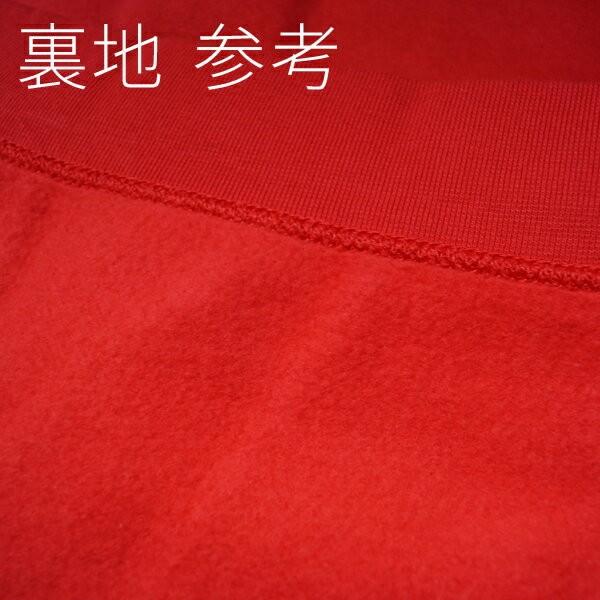 NIKE LAB USA スウェット トレーナー XS(USサイズ) NIKE LAB USA スウェット トレーナー XS(USサイズ) NIKE LAB USA