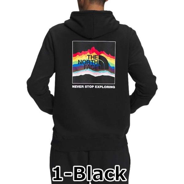 ノースフェイス　プライドロゴパーカー　L ノースフェイス プライドロゴパーカー L THE NORTH FACE（ザ