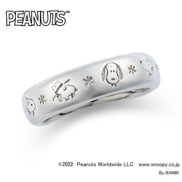 jewelplus_kr62001i jewelplus_kr62001i