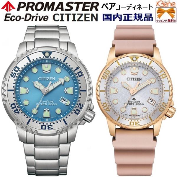 MARINE 正規新品 日本製ムーブメント エコドライブ ソーラー ダイバー