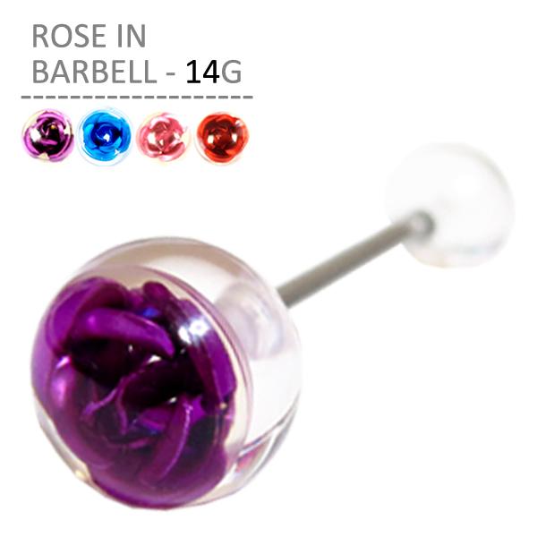 {fBsAX 14G [YCo[x sAX fB[X T[WJXeX AM[Ή Ўp AN o KN [Y 킢 nEB