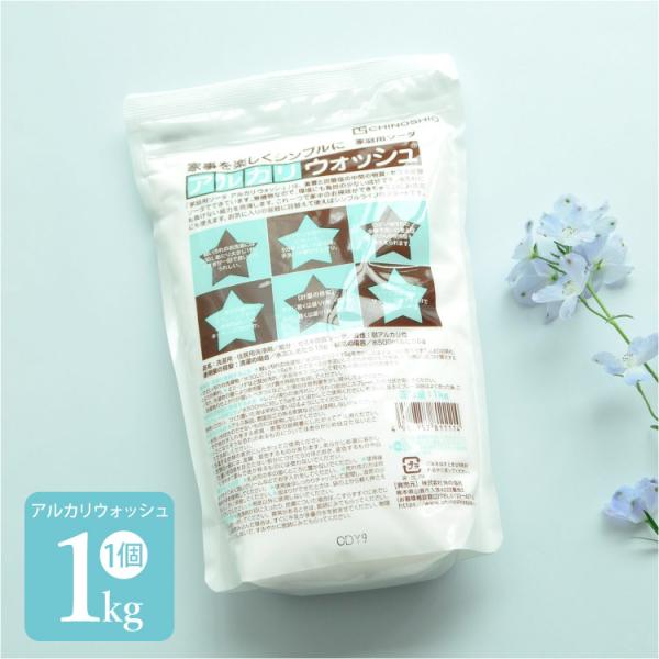 アルカリウォッシュ 1kg セスキ 炭酸 ソーダ 【ゆうパケット不可】　地の塩社 掃除 洗濯 布 ナプキン