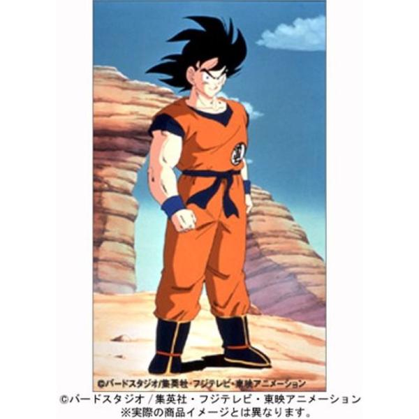 DRAGON BALL Z DVD BOX VOL.1 : ユーズタウン8 - 通販 - Yahoo