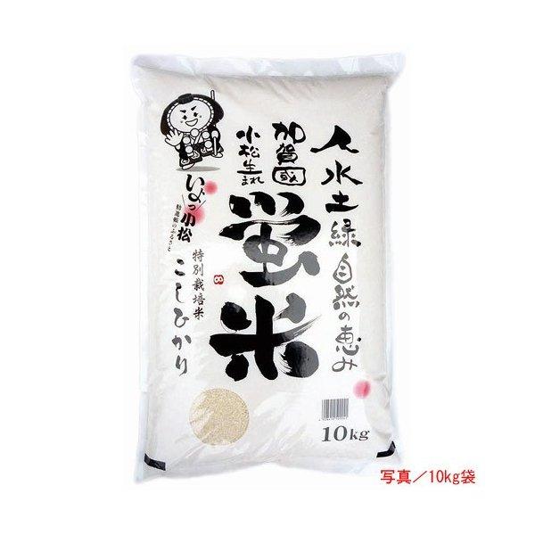 コシヒカリ 令和6年 2024 石川県産 特別栽培米 蛍米 精米 10kg コシヒカリ 令和6年 2024 石川県産 特別栽培米 蛍米 精米 10kg