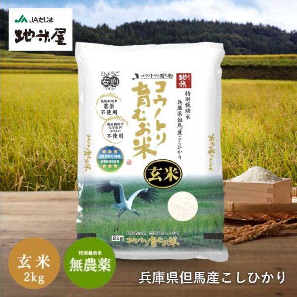 コシヒカリ 新米 令和7年産 無農薬 玄米 無化学肥料 送料無料 玄米 2kg