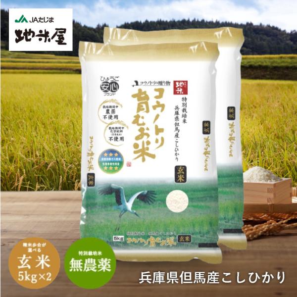 コシヒカリ 令和7年産 無農薬 無化学肥料 送料無料 玄米 10kg 5kg×2袋