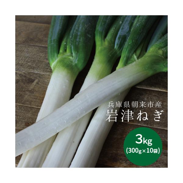 白ねぎにはないゆたかな香り、甘さと柔らかさが大きな特長です。緑色の葉の部分もおいしく食べることができます。鍋物やすき焼きにすると、トロリとした柔らかさが楽しめるほか、焼いたり、天ぷらにしたりすると、口の中に広がる甘みを味わえます。※ご注意※...