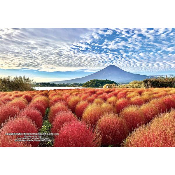 [Release date: December 26, 2025]商品名：山梨県南都留郡「河口湖大石公園から見える富士山」サイズ：26×38cm品　番：CUT-300-468ピース数：300メーカー：キューティーズ補　足：【ジグソーパズル】...