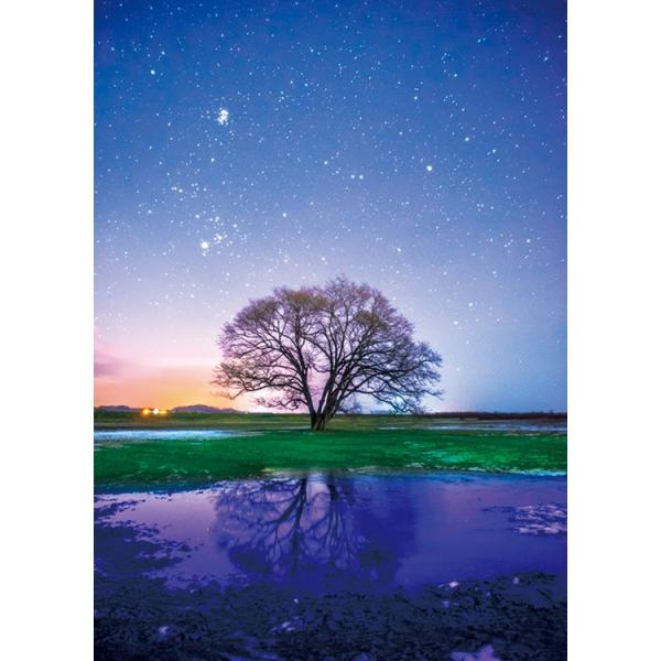 [Release date: June 8, 2017]商品名：青の世界 ひとりぼっちの木サイズ：38×53cm品　番：EPO-71-809ピース数：500メーカー：エポック社補　足：【ジグソーパズル】【風景】【国内風景】【北海道】【夜景】...