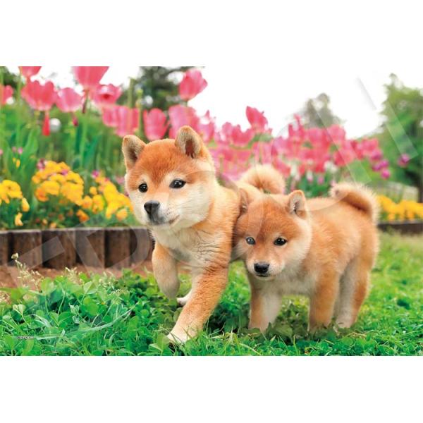 [Release date: April 28, 2023]商品名：いっしょに走るわん！サイズ：26×38cm品　番：EPO-79-520ピース数：100メーカー：エポック社補　足：【ジグソーパズル】【ペット・動物】【いぬ】【柴犬】【オリジ...