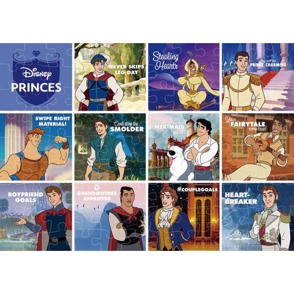 テンヨー（Tenyo） ジグソーパズル 108ピース ディズニーの王子さま