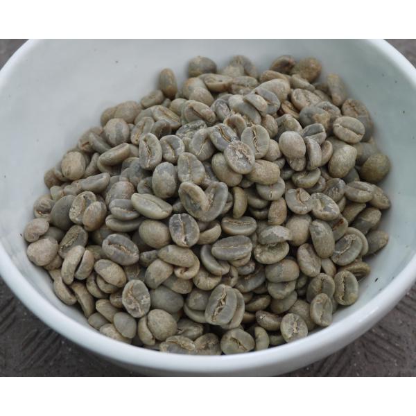 オーガニック SDGs 有機栽培コーヒー生豆1kg エクアドル・ナチュラ