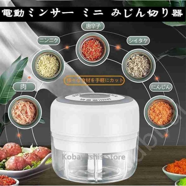 2025 新発売！ミンサー 電動ミンサー ミニ みじん切り器 玉ねぎ 電動式 USB充電式 スライサー 押す スライサー 野菜 にんにく ミキサー