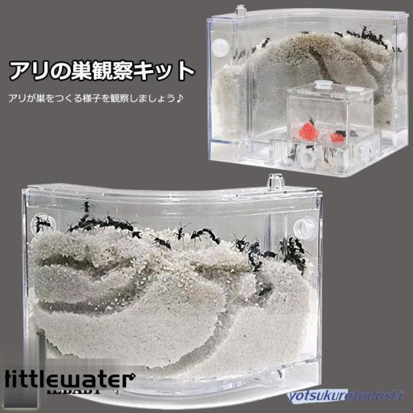 アリの巣　あり観察キット　飼育ケース　砂　自由研究 小学生 あり 蟻 飼育セット 実験セット 観察　夏休み　学習用アリの巣　あり観察キット　アリの巣観察キット　アリ　巣　観察　飼育ケース　砂　自由研究 小学生 キット あり 蟻 飼育セット ...