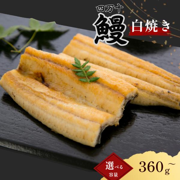 お中元 2026 うなぎ 3本セット プレゼント ギフト 国産 白焼き 長焼き 高級 特大 四万十うなぎ 鰻 ウナギ