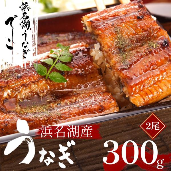 うなぎ 蒲焼 浜名湖産 2尾 浜名湖マルマ 「でしこ」 150g×2 マルマ中塩商店 特大 長蒲焼 鰻 専門店 お取り寄せ グルメ 父の日 ギフト